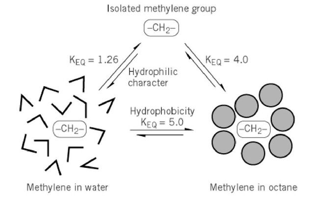 A partial view of the origins of the hydrophobic effect. 