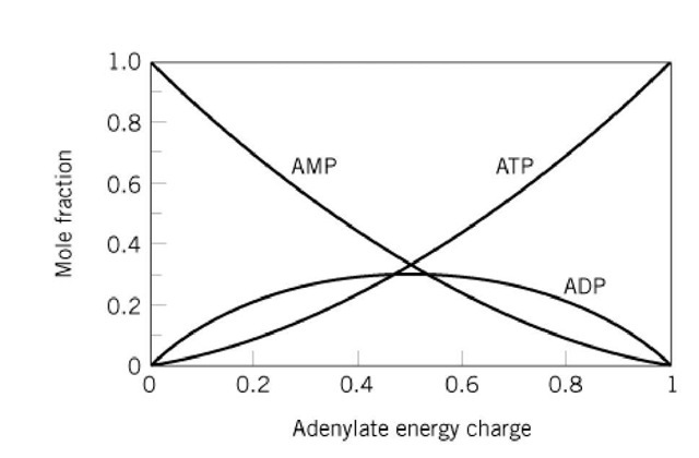 Mole fractions of the components of the adenylate nucleotide system as a function of the adenylate charge. The reaction catalyzed by adenylate kinase is assumed to be near equilibrium, with an apparent equililbrium constant irrespective of differential ionization and magnesium binding) of 0.8. 