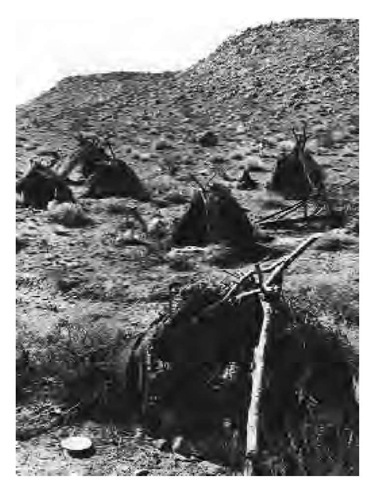 The Southern Paiutes migrated seasonally, following the food supply. Most summer houses were brush shelters, such as the ones depicted in this photograph of a Paiute village encampment.