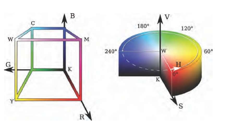 Graphical representations of the RGB and HSV color models. Each color represents one point inside the RGB cube, and its position is determined by the value of its R, G, and B components in Cartesian coordinates. Here, only the edges of the filled cube are shown. The edges of the cube give an example of the color gradients with black (k) and white (w) at diagonally opposite ends, and with the additive colors cyan (c), magenta (m), and yellow (y) at off-axis corners. The HSV model uses a cylinder coordinate system with the hue (H) as the angular component, the saturation (S) as the radial component, and the value (V, also known as intensity or brightness) as the axial component. The central axis of the cylinder covers the gray-value gradient from black to white. 