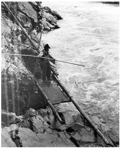 A Carrier Indian fishes for salmon from a platform in the Hagwelet Canyon in 1927. Salmon was a mainstay in the Carrier diet.