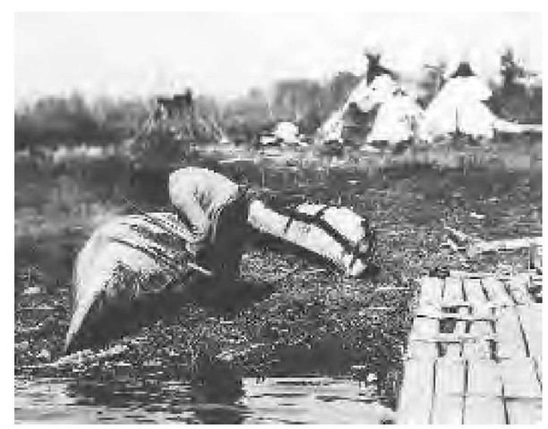 The Anishinabe ("Original People") are also variously known by the band names Ojibwe/Ojibwa/Ojibway/Chippewa, Mississauga, and Salteaux. This Chippewa man is shown mending his birch-bark canoe (1887). Men fished year-round, especially for sturgeon, sometimes at night by the light of flaming birch-bark torches. 