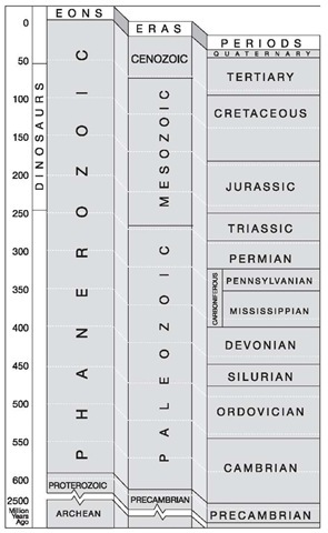 4. The geological timescale puts into context the period during which the dinosaurs lived on Earth 