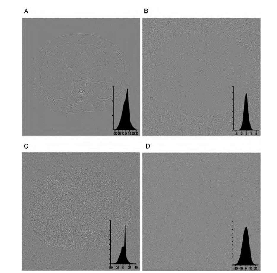 Comparison of the denoising efficacy of three automated threshold-finding algorithms with conventional Gaussian blurring. Shown is the noise component removed from Figure 4.9A, that is, difference between image 4.9A and the filtered image. The insets show the gray-value histograms of the various images. In image A, conventional Gaussian blurring was applied. The difference image clearly shows the noise removed in most areas, but it also contains image information: namely, the edges that get blurred in the smoothing process