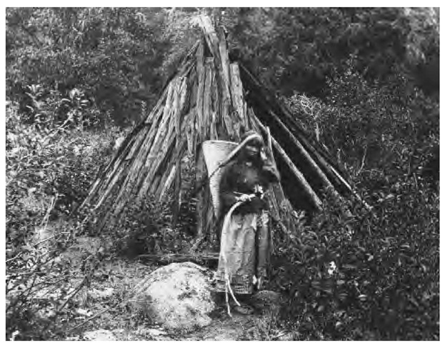 The Sierra Miwok and Mono peoples of the Sierra foothills built conical houses framed with wooden poles and covered with plants, fronds, bark, or grasses. Hearths were centrally located, next to an earth oven. Pine needles covered the floors; mats and skins were used for bedding. This photograph shows a woman in front of such a dwelling in 1870.