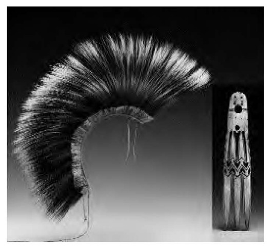 Pawnee warriors stiffened a lock of hair with paint and fat, making it curve like a horn (a style known as a roach). Made in 1910, this roach, made of porcupine and deer guard hairs, is over 11 inches long and 8 inches high. The roach was tied to the wearer's scalplock by means of a thong and a carved comblike roach spreader.
