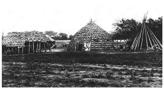 Three kinds of Wichita shelters are depicted in this 1898 photograph: a thatched structure for cooking, a grass house for sleeping, and a frame for a tipi used on buffalo hunts.