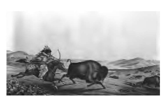 With the arrival of the horse in the late seventeenth to mid—eighteenth century, "classic" Plains Indian culture began to come into its own. This 1837 illustration shows a horseback hunt. 