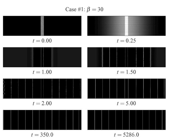 Time evolution of Case #1 of dislocation pattern formation in a rectangular stripe with 20 x 5 jm, starting from a vertical stripe with random distribution of ps and pm and linear diffusion of pm.
