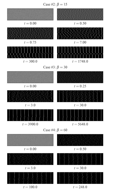 Time evolution of Cases #2 to 4 of dislocation pattern formation in a rectangular stripe with 20 x 5 jum, starting from a random distribution of ps and pm and nonlinear diffusion of pm.