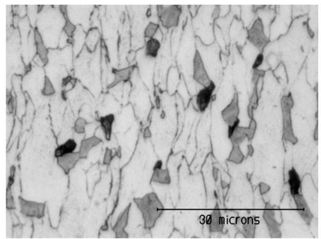 Micrograph of fractured specimen. Voids appear in black, ferrite in light gray and martensite in dark gray.