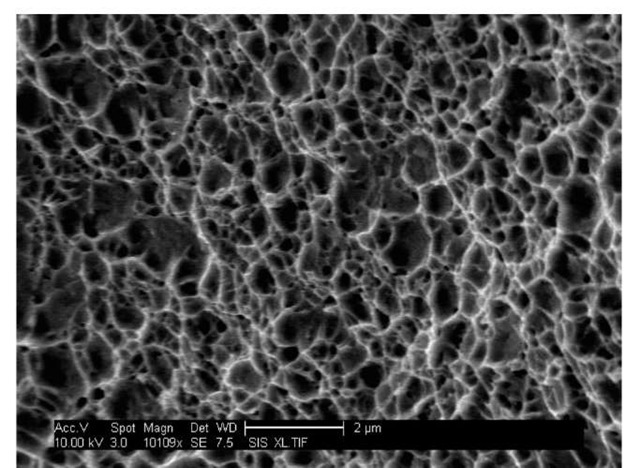 SEM fractography of the in situ tensile test 