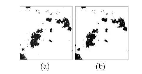 Change detection maps obtained for Mexico data set: (a) using the unsupervised method based on optimal threshold, and (b) using the proposed semi-supervised technique based on optimal threshold (with 0.1% training pattern)  
