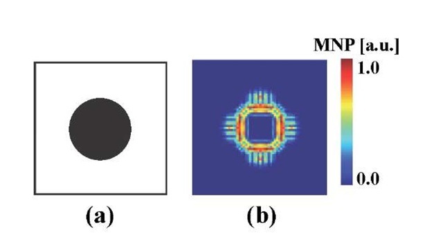 The reconstruction result for a continuous distribution of MNP. The outer part of the reconstructed image is excessively emphasized, as in the effect of a high pass image filter. 