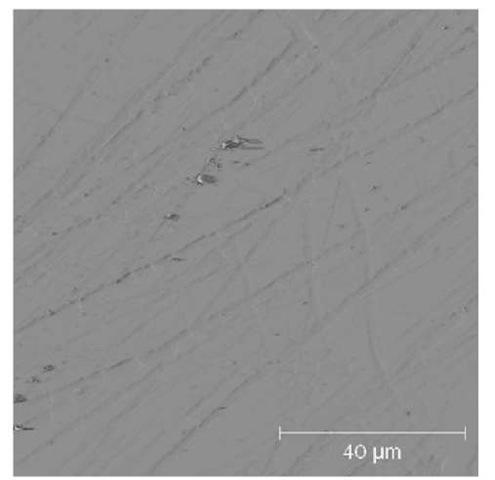 The surface topography of the tested muscovite fragment (AFM image) 