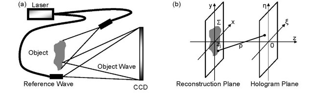  Digital Holography: (a) basic holographic setup [7] and (b) the coordinate system [8] 2.2 Digital Holography: Reconstruction