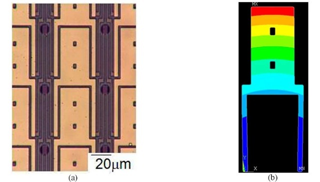 50x magnified images: (a) of a section of bi-material cantilever pixel array; Graphic representation (b) of bi-material cantilever pixel from FEM model.