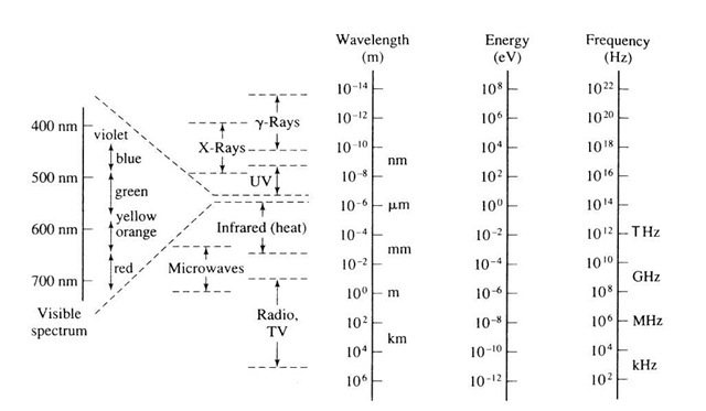 The spectrum of electromagnetic radiation. Note the small segment of this spectrum that is visible to human eyes. 