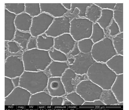 SEM micrograph showing typical microstructure of the Baker ICM with metallic particulate phases and the intermetallic intergranular interphases.
