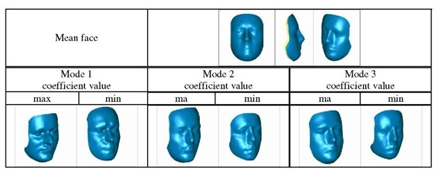 Visualization of the mean face and first three empirical modes Table 1. Participation of the first 10 modes of PCA decomposition of 3D faces 