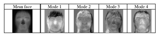 Visualization of the mean face and first four empirical modes of infrared images 