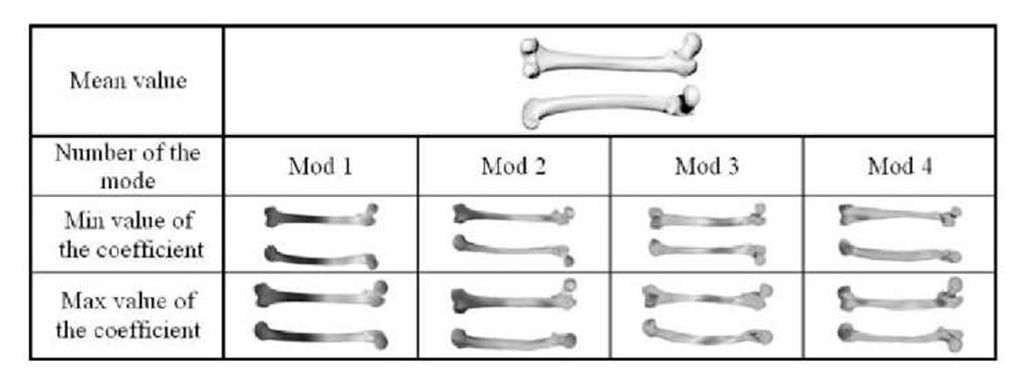3D visualization of mean value and first eight modes of femur bones (anterior and posterior view) 
