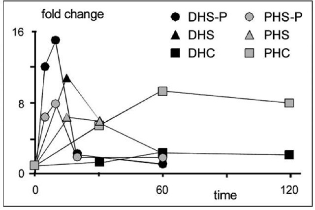 Fold changes in sphingolipids following heat stress at time t = 0. Abbreviations: DHS: dihydrosphingosine; PHS: phytoshpingosine; DHC: dihydro-ceramide; PHC: phyroceramide; -P: -phosphate. 