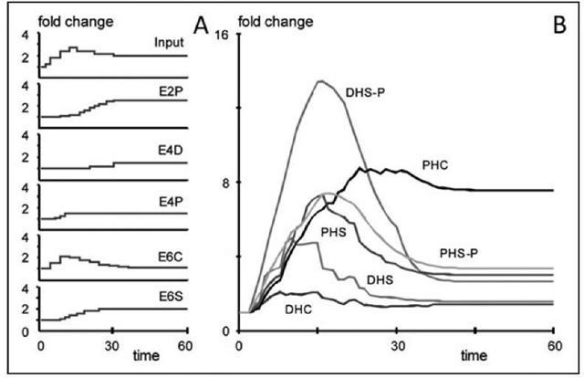 Simulation scenario with Equation (3) in which several enzymes have temperature dependent activities. Profiles of changes in enzymes and input are given in (A); see Figure 3 for abbreviations. The corresponding sphingolipid profiles show a qualitatively similar pattern as it was observed (Fig. 4). The "jagged" appearance of the simulated profiles is due to discrete changes in enzyme activities. 