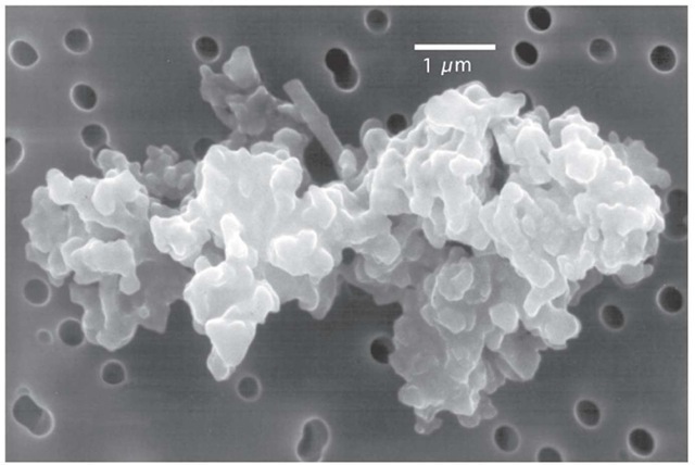 From Jessberger et al (2001). A porous chondritic IDP collected from the Stratosphere. 