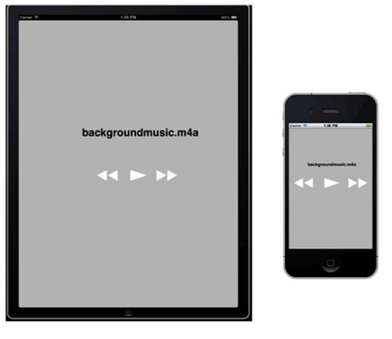 The audio-playing application when it's launched on the iPhone and iPad 