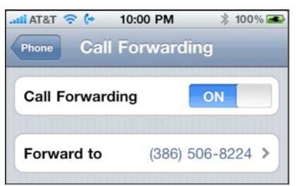 call forwarding options on iphone