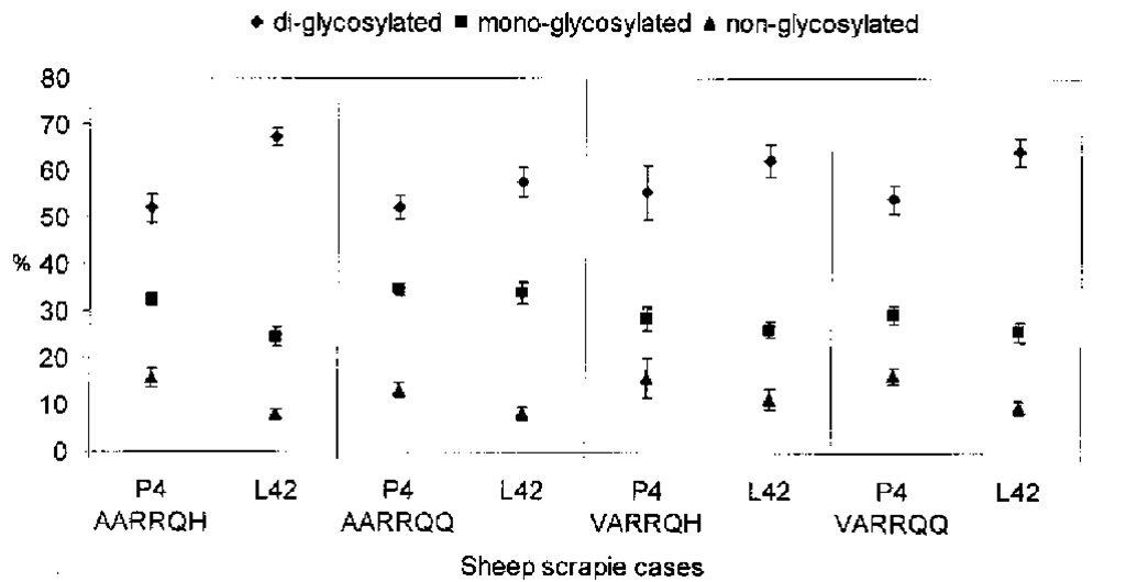 Proportions of PrPSc glycoforms in four different sheep genotypes after PK treatment. PrPSc was purified from sheep cerebellum homogenates. Fibrils were subsequently exposed to proteinase K (50 ^g/mL) for 1 h at 37°C. Proteins were separated by 16% SDS-PAGE gels. PrPSc bands were revealed by immunoblotting using the monoclonal antibodies, mAb P4 and L42, respectively. mAb P4 is directed to amino acid sequences 89-104 and mAb L42 to residues 145-163 of ovine PrP. Horseradish peroxidase-conjugated affinity-purified goat antimouse IgG served as detection antibody. Membranes were developed using a chemiluminescence enhancement kit, and signal scanned electronically. To glycotype PrPSc from isolates, banding intensities of the di-, mono- and non-glycosylated isoforms were determined and calculated as percentages of the total signal. The percentages of the di-, mono-, and nonglycosylated isoforms are represented as means of at least seven separate gel runs ± SEMs. 