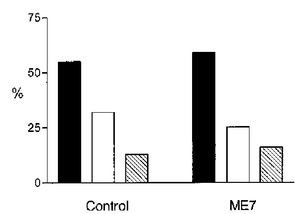  Proportion of neuronal subtypes recorded in control and ME7 mice. Recordings were made in the subiculum: 22 neurons were recorded from three control mice that had received intrahippocampal injections of normal brain homogenate 21 wk previously, and 32 neurons from four matched mice that had been injected with ME7 homogenate. Solid bars indicate the proportion of neurons that were of IB pyramidal subtype, open bars, the RS pyramidal subtype; and the hatched bars, the proportion of interneurons. 