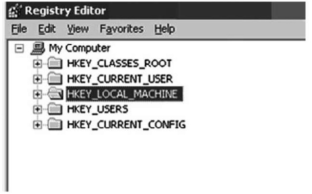 Regedit.exe View Showing Five Root Hives