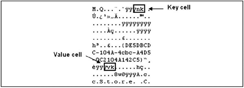 Excerpt of a Raw Registry File Showing Key and Value Cell Signatures