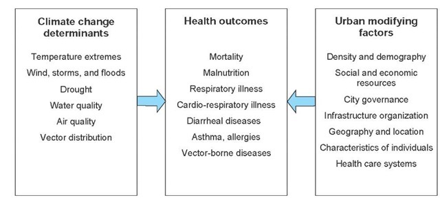Climate change determinants and urban modifying factors on health outcomes in cities. 