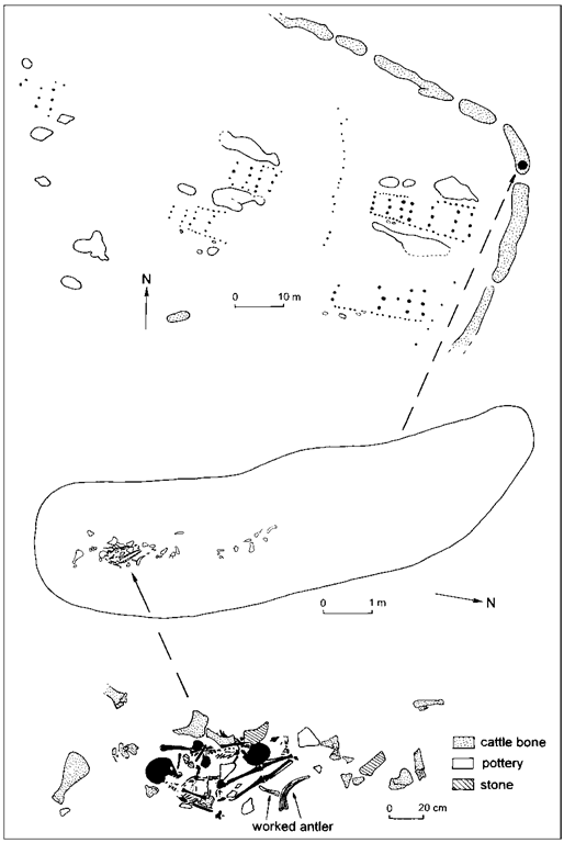  Remains of children (in black), cattle bone and other depositions in ditch segment 273 of the late LBK enclosure at Menneville, northern France. 