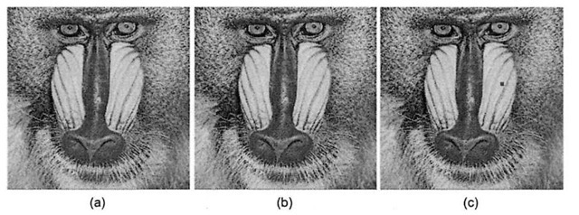 The problems with relying solely on numerical image fidelity metrics, (a) Original 256x256 baboon image, (b) Brightened image, with each pixel changed by 1 intensity level, e^s = sqrt(2562/2562) = 1. (c) Image with a 3x3 blemish, where each corrupted pixel differs from the original by 50 intensity levels. The eRMs of this image is sqrt ((9*502)/2562) = 0.5859, which is less than the eRMs of the second image, even though this image looks worse by any subjective criteria. 