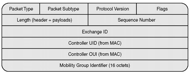 Mobility Packet Header 