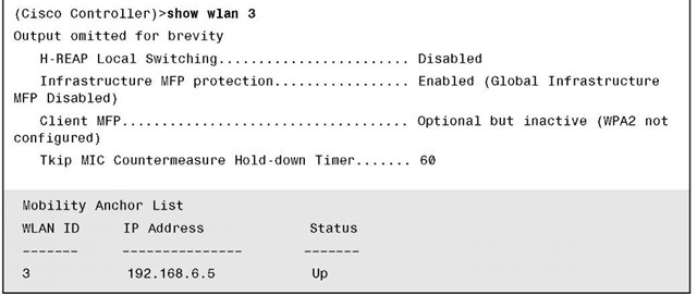 show wlan Command Output 