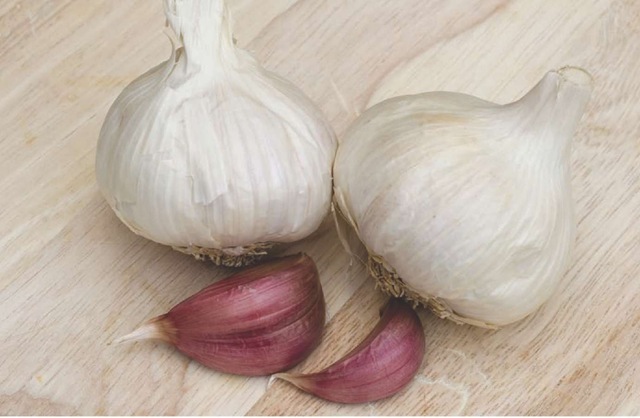 Garlic, along with olive oil, plays an important role in Spanish cooking. 