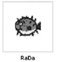 Icon for the rada.exe Malware Binary