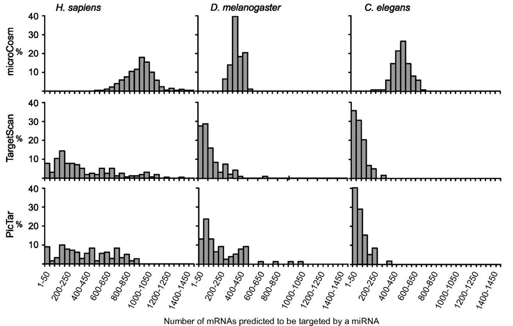 Frequency of the number of mRNAs predicted to be targeted a miRNA in Homo sapiens, Drosophila melanogaster, and Caenorhabditis elegans, calculated with the three prediction methods available in miRBase: microCosm, TargetScan, and PicTar.