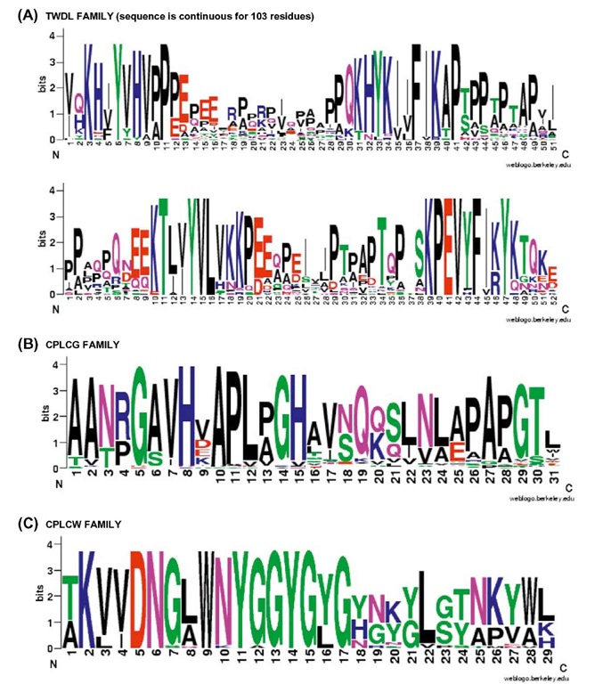 WebLogos (see Figure 1) for three cuticular protein families. (A) TWDL family. Twenty-four sequences from eight species in six orders of insects were used. The continuous sequence was split to facilitate recognition of the four conserved regions. (B) CPLCG family. Note the highly conserved GHPG at residues 5, 8, 11, 14. Eighty-six sequences from dipterans were used. (C) CPLCW family. The 26 CPLCW sequences of this mosquito-restricted family were used. Unlike other WebLogos, the alignment for this one required gaps of five or eight amino acids between positions 16 and 25 to accommodate the longer Ae. aegypti sequences. 