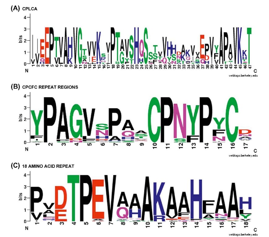 WebLogos (see Figure 1) for two cuticular protein families and one motif. (A) CPLCA family. The WebLogo is based on three sequences from each of four species, An. gambiae, Ae. aegypti, C. pipiens, and D. melanogaster, that had the closest match to AgamCPLCA1. This region corresponds to the retinin domain. (B) WebLogo for CPCFC family. Data from the single occurrence of this protein in individual genera of eight insect orders, plus the two occurrences in T. castaneum and Heliconius melpomene. All three (two in Coleoptera and Lepidoptera) repeat regions from each protein were used. (C) The 18 amino acid repeat from 40 sequences from 26 proteins from 5 insect orders and 2 crustaceans. 