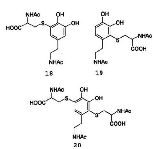 Structure of adducts formed between W-acetylcysteine and NADA.