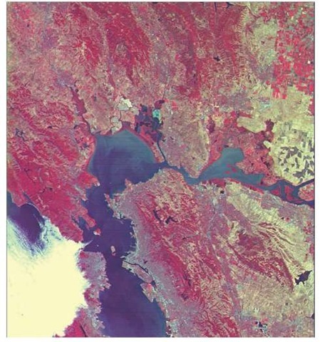 TMSAT image of San Francisco Bay. Various manmade features are discern-able, including the Bay Bridge connecting San Francisco and Oakland (though the Golden Gate Bridge is shrouded in fog), and the runways at San Francisco and Oakland airports, standing out as long straight lines on the bay shore. The variety of wavelengths gives additional information. 
