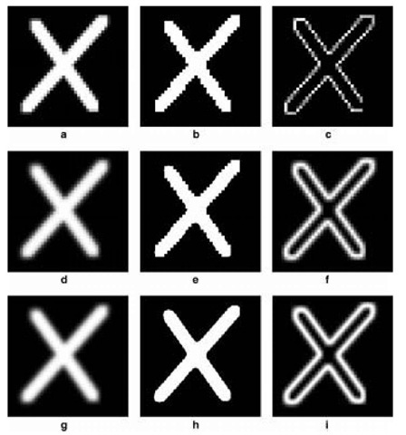 Experimental testing results based on the proposed sub-pixel interpolation method: (a) resampled image from experimental truth image (Figure 5.4a); (b) classification results based on resampled image; (c) entropy results of (b) (40 x 40 pixels); (d) probability image at the sub-pixel scale using central points of neighbouring pixels; (e)classification results at the sub-pixel scale based on (d); (f)entropy results of (e)(200 x 200 pixels); (g)probability image at the sub-pixel scale using the corners or edges of neighbouring pixels; (h) classification results at the sub-pixel scale based on (g); (i) entropy results of (h) (200 x 200 pixels) 