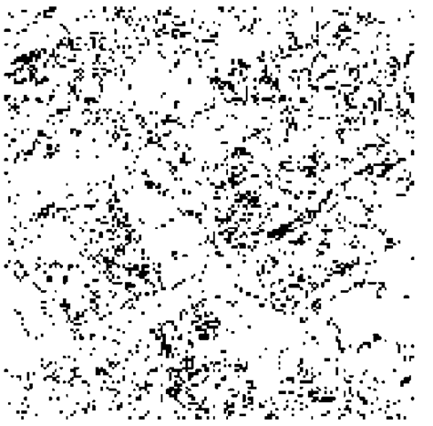 Boundary pixels (black) extracted from entropy map in Figure 5.13 (150 x 150 pix els) 