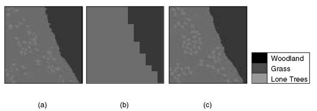 Result of super-resolution mapping. (a) Reference image. (b) Hard classification of the image shown in Figure 6.6(b) (spatial resolution 20m). (c) Hopfield neural network prediction map (spatial resolution 2.9 m).